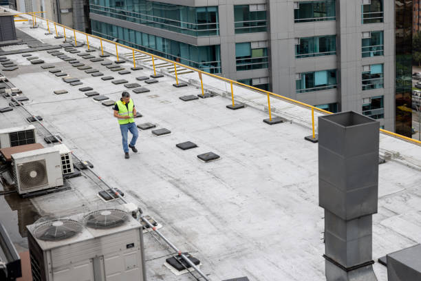 Best Green or Eco-Friendly Roofing Solutions  in Buenaventura Lakes, FL