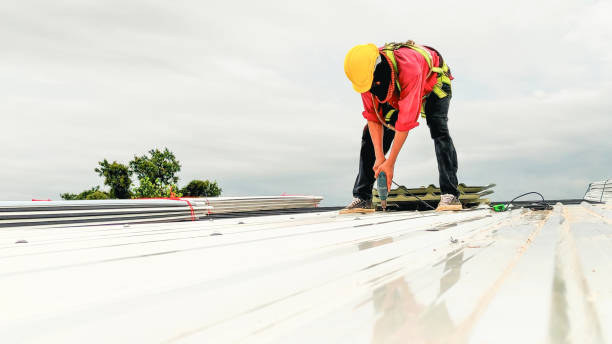Best Solar Panel Roofing Installation  in Buenaventura Lakes, FL