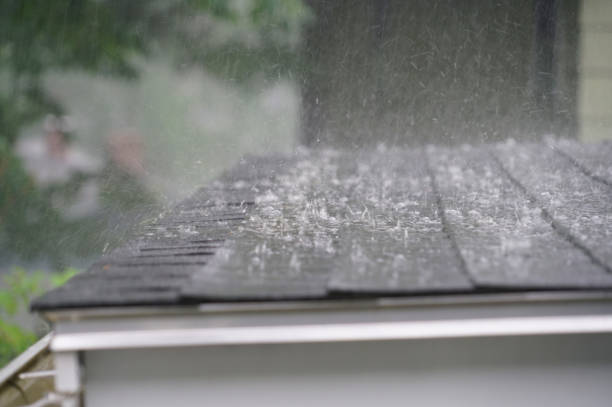 Best Gutter Installation and Repair  in Buenaventura Lakes, FL